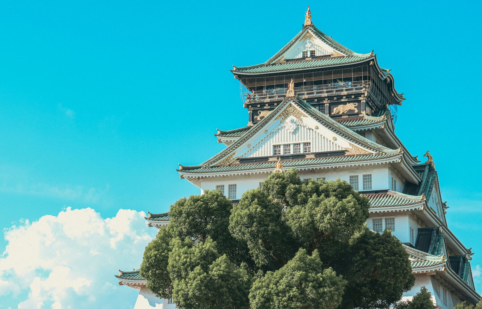 画像4264