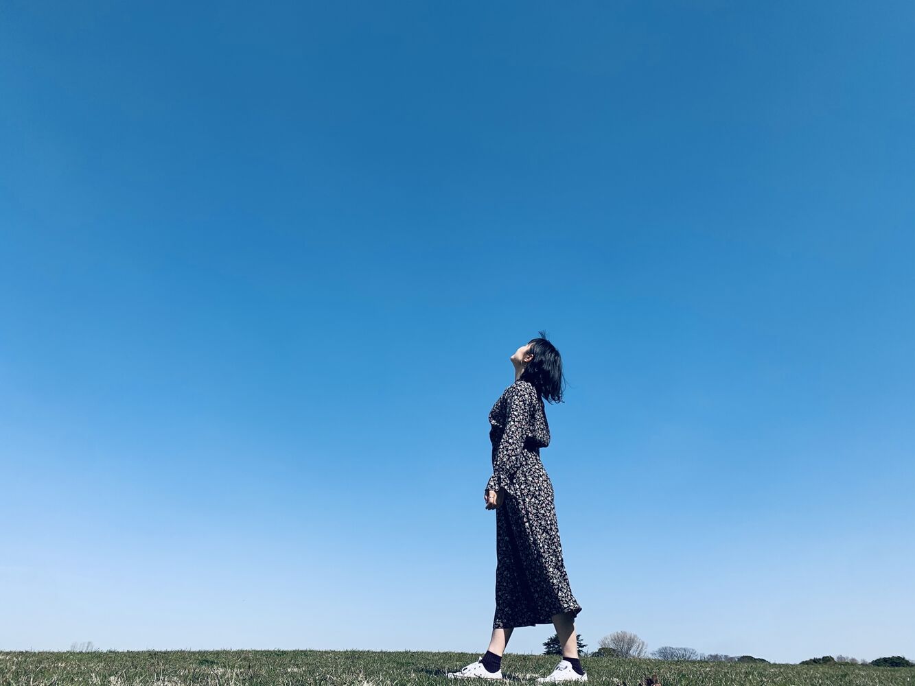 画像6611